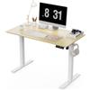 WALKINGDESK Scrivania elettrica regolabile in altezza, 100 x 60 cm, scrivania per computer, seduta in piedi, tavolo regolabile in altezza con 4 funzioni di memoria, stand desk con 2 ganci per casa