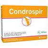 ANVEST HEALTH Srl CONDROSPIR 14 Bust.