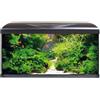 AMTRA Acquario 80 cm led nero 85 litri