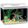AMTRA Acquario 40 LED Coldwater bianco da 25 litri
