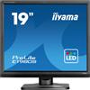 IIyama Monitor LED 19" 1280x1024 Nero con Altoparlanti e VESA