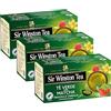 Sir Winston Tea, Tè Verde Matcha Fragola e Vaniglia, 60 Filtri (3 Confezioni da 20 Filtri), Certificato RFA, con Aromi Naturali, Senza Lattosio, Glutine e Allergeni, Vegan