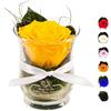 Rosen-Te-Amo | regalo festa della Mamma | rosa stabilizzata vera profumata gialla in vaso per fiori in vetro | scatola regalo dal design raffinato | Composizioni artigianali rosa eterna| regalo donna