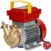 Rover Pompe Rover BE-M 10 - Pompa elettrica da travaso in bronzo - Monofase - 230V