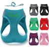 Bykiyevm Pettorina per cani personalizzata con guinzaglio, set di pettorina e guinzaglio per cani e gatti di taglia piccola, media e grande, regalo per animali domestici (XS)