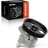 Frankberg Servo pompa Compatibile con Logan LS Logan Express FS Logan MCV KS Clio II BB CB Kangoo Express FC0/1 M.e.g.a.n.e I Grandtour KA0/1 Replace# 491108694R