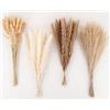 Wekuw 100 Pezzi Erba di Pampa Essiccata Erba di Pampa con Coda di Coniglio Bianca Fiori Secchi Fiori Artificiali Decorazione da Tavolo Boho, per Matrimoni, Camino, Casa, Cucina, Chiesa, Tavolo