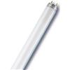 LEDVANCE OSRAM RADIUM Neon fluorescente T8 30W BLU - L3067