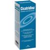 FARMA-DERMA Srl CICATRIDINA Dermo-Det.200ml