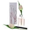 PROFUMAMBIENTE TULIP ROSA 100ML VETRO