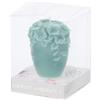 Hervit candela di soia Bouquet verde 6cm