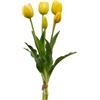 TULIPANO GOMM OLIS MZ5PZ H40 YELLOW