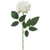 ROSA VELLUTO BIANCA DIA.7X45CM