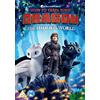 DreamWorks Animation How to Train Your Dragon - The Hidden World (DVD) Jay Baruchel America Ferrera