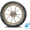 MICHELIN Pneumatico MICHELIN PILOT SPORT CUP 2 R 315/30 ZR21 105 Y XL N0