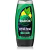 Radox Men Feel Strong 450 ml