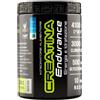 MOLDES Srl Integratore Creatina Endurance neutro per sport, 360g