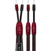 Audioquest Brave Heart (2 x 2,5m)