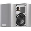 Piega Ace 30 Wireless (TX + RX) argento - Cassa intelligente wireless, Apple Music, Spotify, Roon Ready