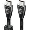 Audioquest Dragon eARC 48Gbps 72v DBS 2m