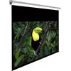 Lumene Majestic HD 270C - Schermo di proiezione motorizzato, Guadagno della tela 1.0, RS-232, Trigger 12V, IR
