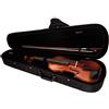 GEWApure Violino Set Ew In Ebano Pronto Per Giocare Con Mentoniera, Cordiera Con Tiracantini, Archetto, Colofonia, Astuccio Con Tracolla, Marrone, 4/4
