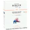 Maison Berger Paris Diffuseur Voiture Ricariche per Diffusore Auto Liliflora 2 x 17g - Profumo per Automobile