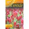 Franchi Sementi SEMENTI DI PIANTE DESTINATE AL SOVESCIO IN CONFEZIONE DA 100 GR (TRIFOGLIO INCARNATO)
