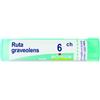 BOIRON Srl Ruta grav boi*6ch 80gr 4g - BOIRON - 046363038