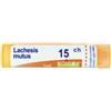 Lachesis mut 15ch gr - BOIRON - 800023475