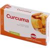 KOS Srl CURCUMA ESTRATTO SECCO 30 CAPSULE
