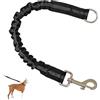 TASSFROO Guinzaglio per Cani Elastico, Guinzaglio Addestramento per Cani Ammortizzatore Regolabile per Corda Cane Cablaggio Elastico di Sicurezza Riflettente Prolunga in Nylon per Passeggiate Jogging Ciclismo