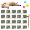 Comioke 20 pezzi Catnip Gatti,Erba Gatta Per Gatti,Erba Per Gatti,Erba Gatta Erba Gatti,Catnip,Catnip Essiccato,Erba Gatta Naturale,Erba Gatta Premium,Erba Gatta, Catnip Organico,Morbide Palline Per Gattini
