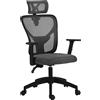Vinsetto Sedia da Ufficio Ergonomica e Regolabile con Supporto Lombare e Poggiatesta, 66x61x106-116 cm, Grigio | Aosom Italy