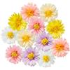 mimzemamz Fiori di Carta per Decorazioni,Fiori di Carta Giganti,Crespa Rose Adatto Velina Garden Party,Compleanno Decorazione,Matrimonio Decorazione,12 Pezzi