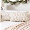 Artscope 2 Pezzi Natalizio Federe in Lana Corta Velluto Copricuscini Morbido Decorativo Fodere per Cuscino Lusso Stile per Divano Camera da Letto Albero di Natale Beige 30x50 cm