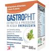 A.V.D. REFORM SRL GASTROPHIT MACERATO 500 ML