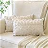 Artscope 2 Pezzi Natalizio Federe in Lana Corta Velluto Copricuscini Morbido Decorativo Fodere per Cuscino Lusso Stile per Divano Camera da Letto Natale Beige 40x60 cm