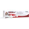 MSD Animal Health MSD Panacur Vermifugo tratto gastroenterico Pasta per cani e gatti 4,8 gr Siringa - 1° ORDINE? 20% di sconto SU BRAND ESCLUSIVI, codice BZR20