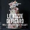 52733 LE NOZZE DI FIGARO C