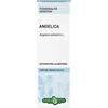 ERBA VITA GROUP SPA Erba Vita Angelica Radice Tintura Idroalcolica 50 Ml Ebv Disinfettanti Bocca E Gola Collutorio