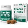 INNOVET ITALIA Srl Condrostress Mobility - 30 bocconcini masticabili (soft chews)