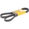 CONTITECH 6PK1502 EXTRA Cinghia servizi