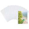 HERMA 7566 - Buste fotografiche per raccoglitori, 250 pezzi, 20 x 30 cm, 1 vano, con foro europeo, colore: Bianco