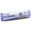 BOIRON SRL THUYA OCCIDENT 30CH GL
