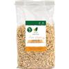 GIANNI ALESSANDRO - FOLEA FOLEA FIOCCHI AVENA INTEGRALE 300 G