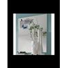 Avanti Trendstore [SPILLA] - Specchio da parete, con cornice sottile in legno laminato di colore bianco, dimensioni: LAP 70x90x2cm