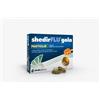 Shedir Pharma Shedirflu Gola Ment/euc 48pastiglie