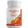 Algilife Srls Vitamin C 1000 Integratore Per Il Sistema Immunitario E La Pelle 60 Compresse