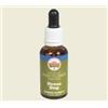 Australian Bush Flower Essences Australian Bush Flower Stress Stop Fiori Australiani contro Mancanza di Tempo e Preoccupazioni